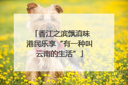 香江之滨飘滇味 港民乐享“有一种叫云南的生活”
