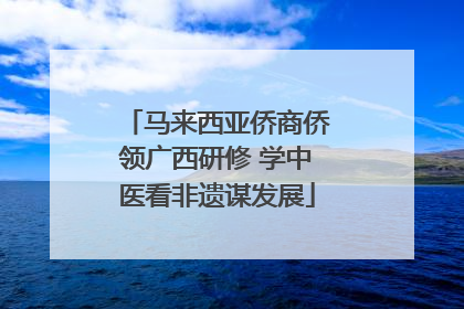 马来西亚侨商侨领广西研修 学中医看非遗谋发展