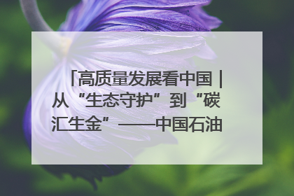 高质量发展看中国｜从“生态守护”到“碳汇生金”——中国石油大庆油田绿色蝶变