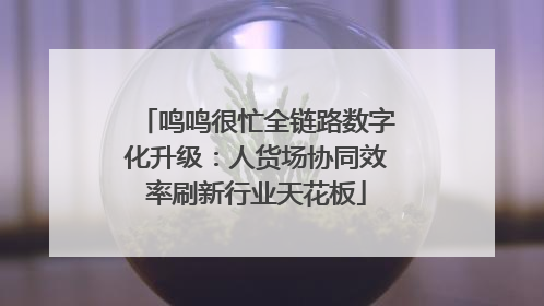 鸣鸣很忙全链路数字化升级：人货场协同效率刷新行业天花板