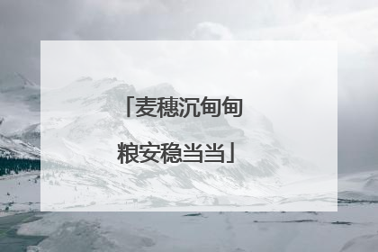 麦穗沉甸甸 粮安稳当当