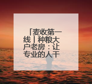 麦收第一线丨种粮大户老房：让专业的人干专业的事
