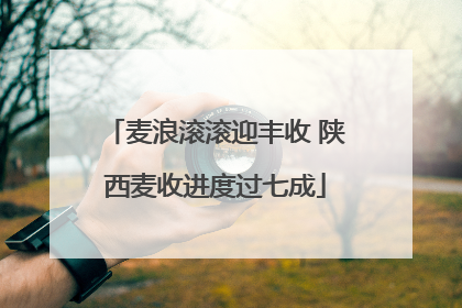 麦浪滚滚迎丰收 陕西麦收进度过七成