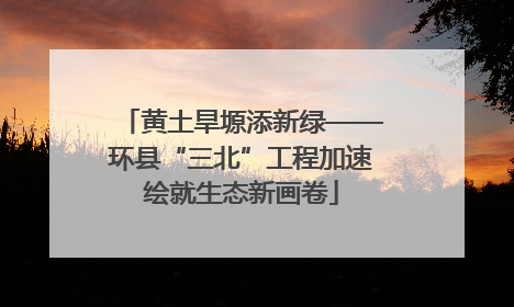 黄土旱塬添新绿——环县“三北”工程加速绘就生态新画卷