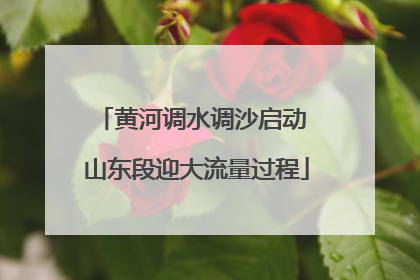 黄河调水调沙启动 山东段迎大流量过程
