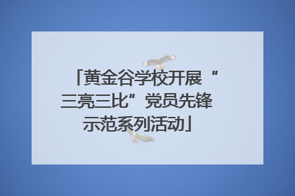 黄金谷学校开展“三亮三比”党员先锋示范系列活动