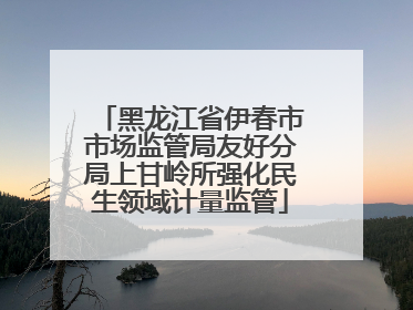 黑龙江省伊春市市场监管局友好分局上甘岭所强化民生领域计量监管