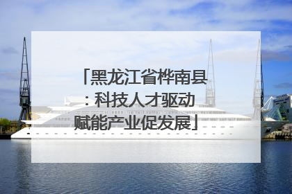 黑龙江省桦南县：科技人才驱动 赋能产业促发展