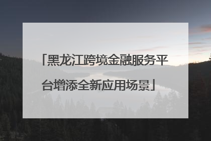 黑龙江跨境金融服务平台增添全新应用场景
