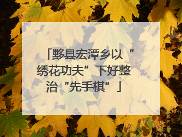 黟县宏潭乡以“绣花功夫”下好整治“先手棋”