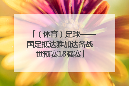 （体育）足球——国足抵达雅加达备战世预赛18强赛