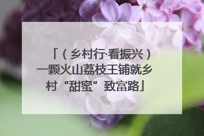 （乡村行·看振兴）一颗火山荔枝王铺就乡村“甜蜜”致富路