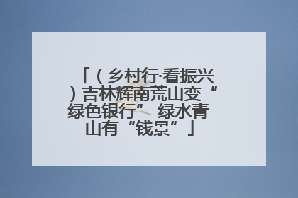 （乡村行·看振兴）吉林辉南荒山变“绿色银行” 绿水青山有“钱景”