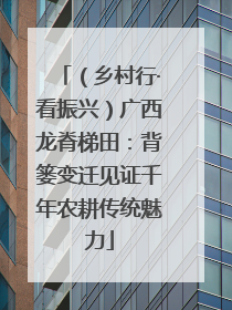 （乡村行·看振兴）广西龙脊梯田：背篓变迁见证千年农耕传统魅力
