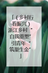 （乡村行·看振兴）浙江乡村“自我重塑” 引青年“筑巢生金”