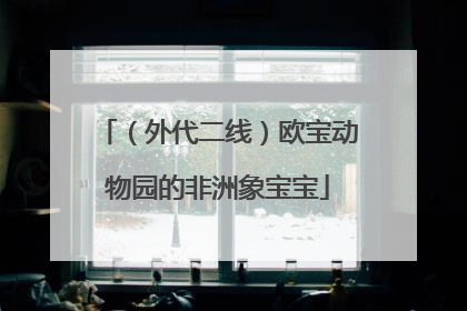 （外代二线）欧宝动物园的非洲象宝宝