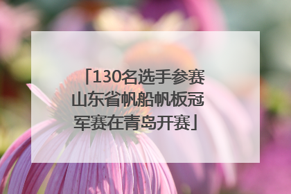 130名选手参赛 山东省帆船帆板冠军赛在青岛开赛