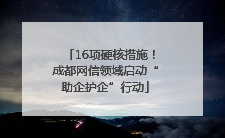 16项硬核措施！成都网信领域启动“助企护企”行动