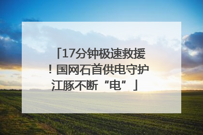 17分钟极速救援！国网石首供电守护江豚不断“电”