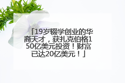 19岁辍学创业的华裔天才，获扎克伯格150亿美元投资！财富已达20亿美元！