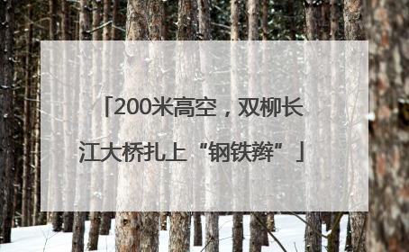 200米高空，双柳长江大桥扎上“钢铁辫”