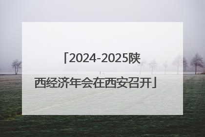 2024-2025陕西经济年会在西安召开