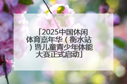 2025中国休闲体育嘉年华（衡水站）暨儿童青少年体能大赛正式启动
