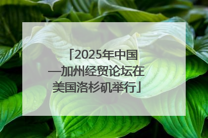 2025年中国—加州经贸论坛在美国洛杉矶举行