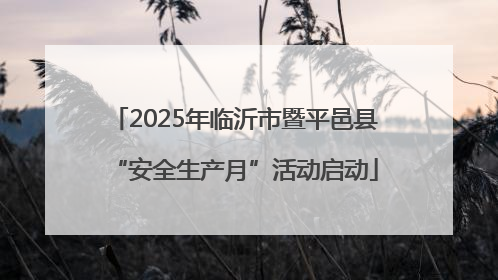2025年临沂市暨平邑县“安全生产月”活动启动
