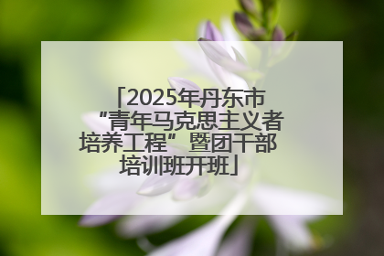 2025年丹东市“青年马克思主义者培养工程”暨团干部培训班开班