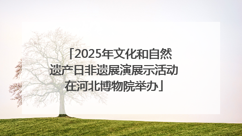 2025年文化和自然遗产日非遗展演展示活动在河北博物院举办