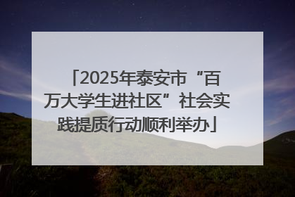 2025年泰安市“百万大学生进社区”社会实践提质行动顺利举办