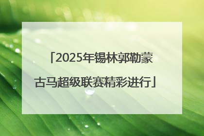 2025年锡林郭勒蒙古马超级联赛精彩进行