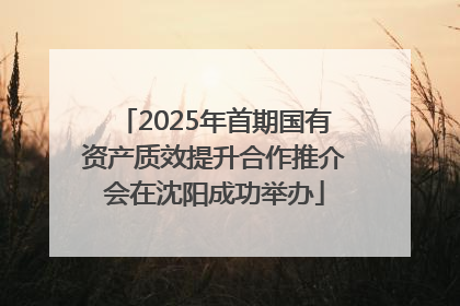 2025年首期国有资产质效提升合作推介会在沈阳成功举办