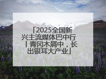 2025全国新兴主流媒体巴中行丨青冈木屑中，长出银耳大产业