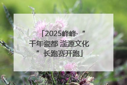 2025峰峰·“千年瓷都 滏源文化”长跑赛开跑