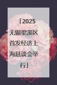 2025无锡梁溪区首发经济上海恳谈会举行