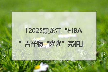 2025黑龙江“村BA”吉祥物“隆隆”亮相