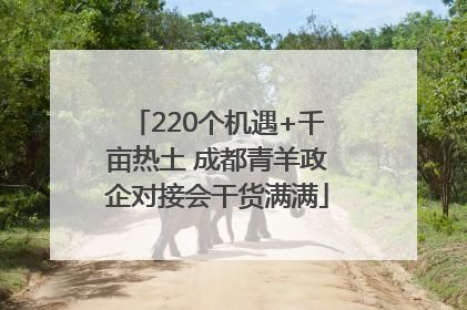 220个机遇+千亩热土 成都青羊政企对接会干货满满