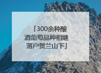 300余种酿酒葡萄品种相继落户贺兰山下