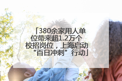 380余家用人单位带来超1.2万个校招岗位，上海启动“百日冲刺”行动