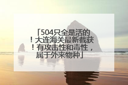 504只全是活的！大连海关最新截获！有攻击性和毒性，属于外来物种