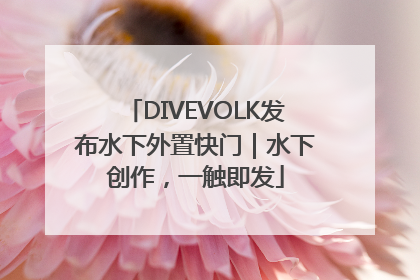 DIVEVOLK发布水下外置快门｜水下创作，一触即发
