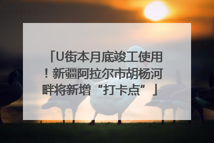 U街本月底竣工使用！新疆阿拉尔市胡杨河畔将新增“打卡点”
